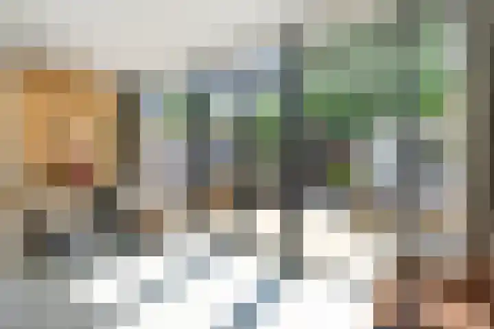 Piuslaan 117 Eindhoven thumbnail 13