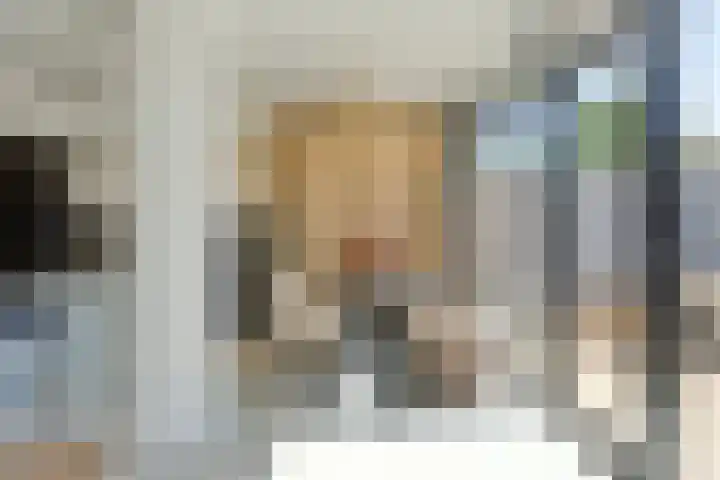 Piuslaan 117 Eindhoven thumbnail 14
