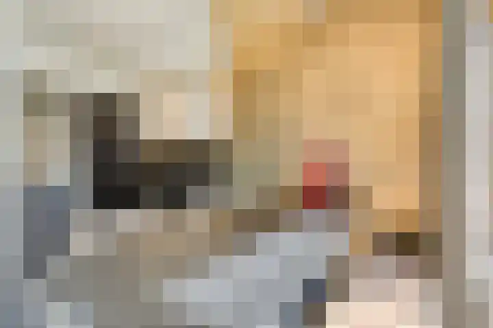 Piuslaan 117 Eindhoven thumbnail 15
