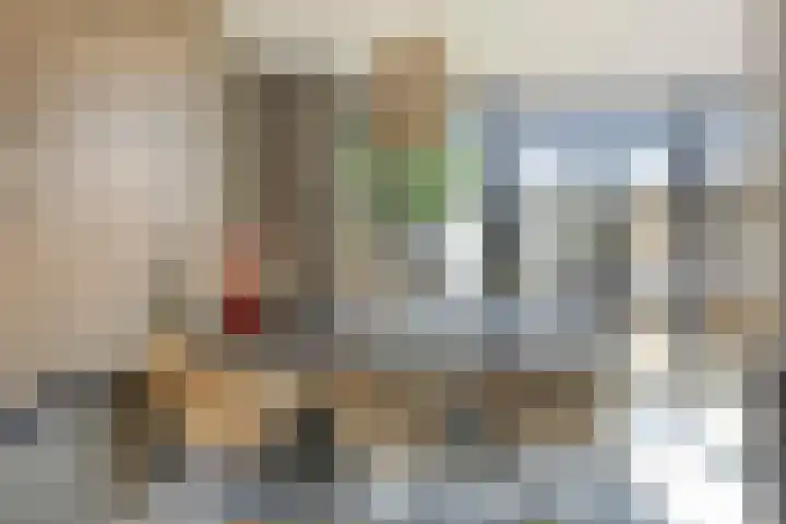 Piuslaan 117 Eindhoven thumbnail 16