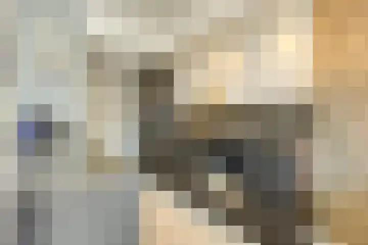 Piuslaan 117 Eindhoven thumbnail 18