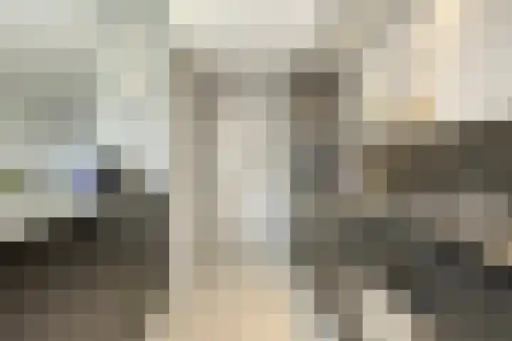 Piuslaan 117 Eindhoven thumbnail 19