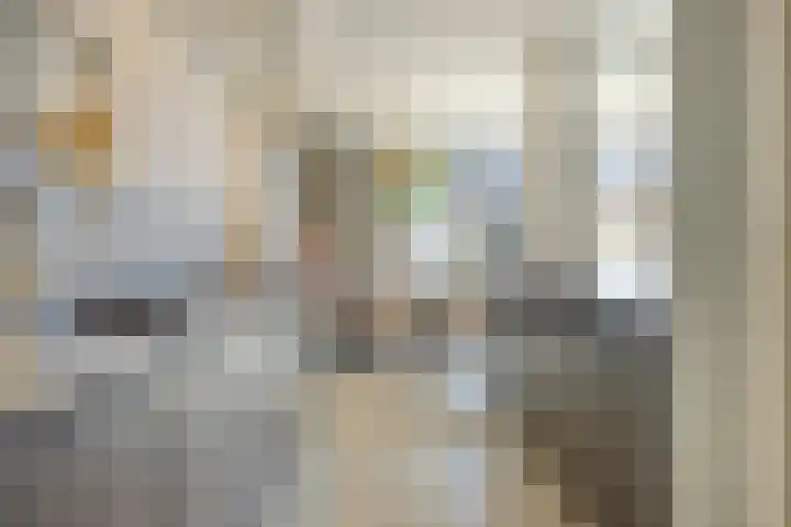 Piuslaan 117 Eindhoven thumbnail 20