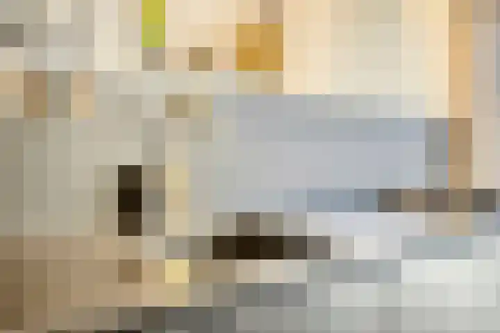 Piuslaan 117 Eindhoven thumbnail 21