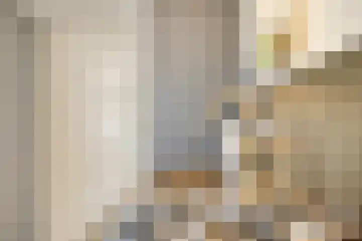 Piuslaan 117 Eindhoven thumbnail 22