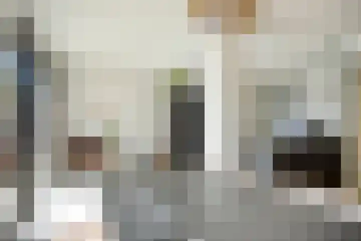 Piuslaan 117 Eindhoven thumbnail 24