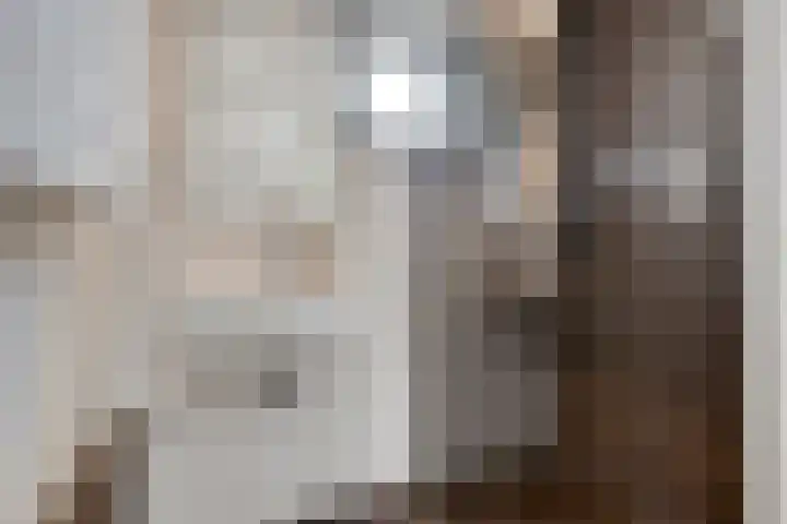 Piuslaan 117 Eindhoven thumbnail 29