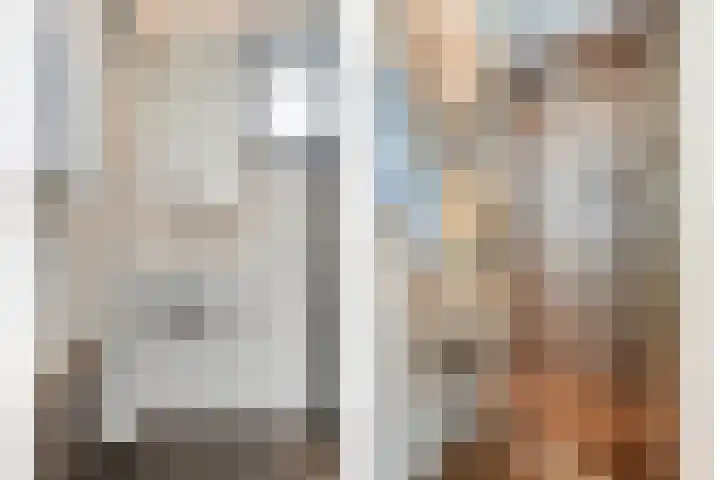 Piuslaan 117 Eindhoven thumbnail 30