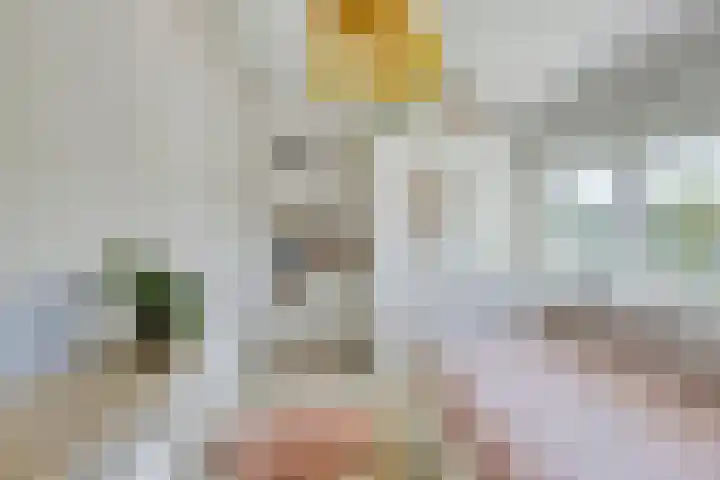 Piuslaan 117 Eindhoven thumbnail 32
