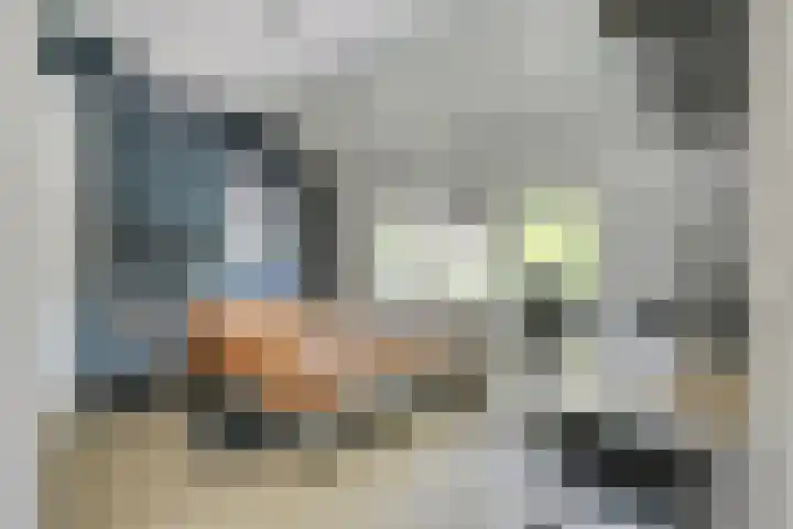 Piuslaan 117 Eindhoven thumbnail 34