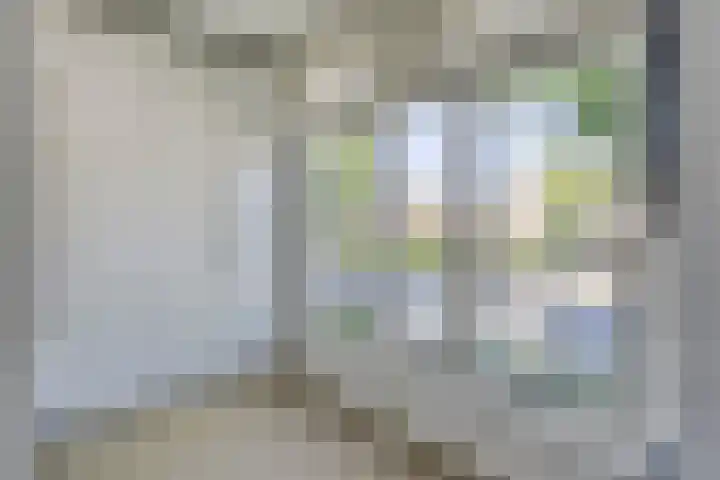 Piuslaan 117 Eindhoven thumbnail 38