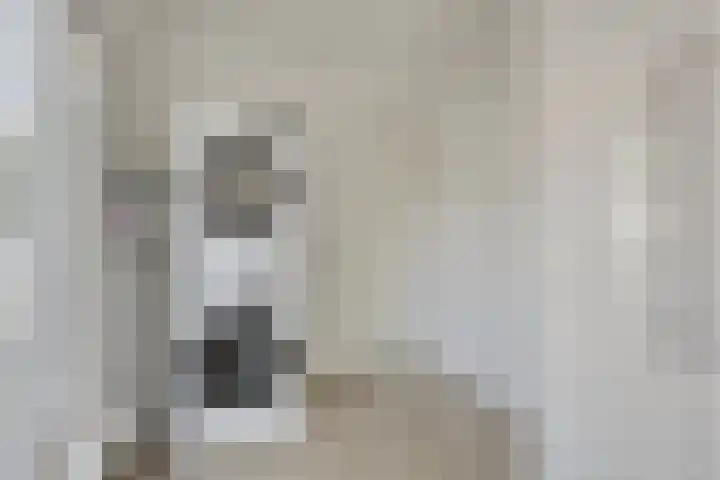 Piuslaan 117 Eindhoven thumbnail 39