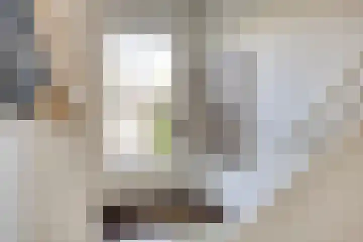 Piuslaan 117 Eindhoven thumbnail 4