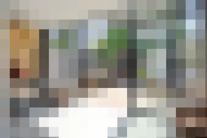 Piuslaan 117 Eindhoven thumbnail 40
