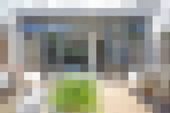 Piuslaan 117 Eindhoven thumbnail 41