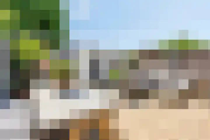 Piuslaan 117 Eindhoven thumbnail 43