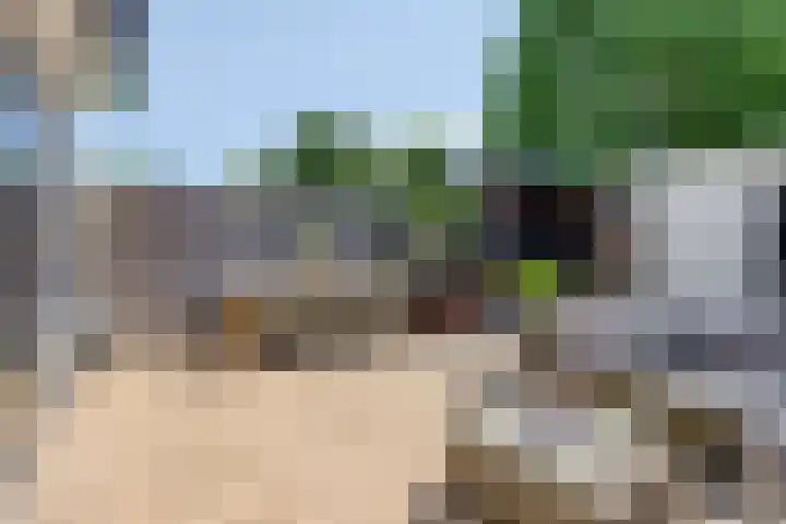 Piuslaan 117 Eindhoven thumbnail 44