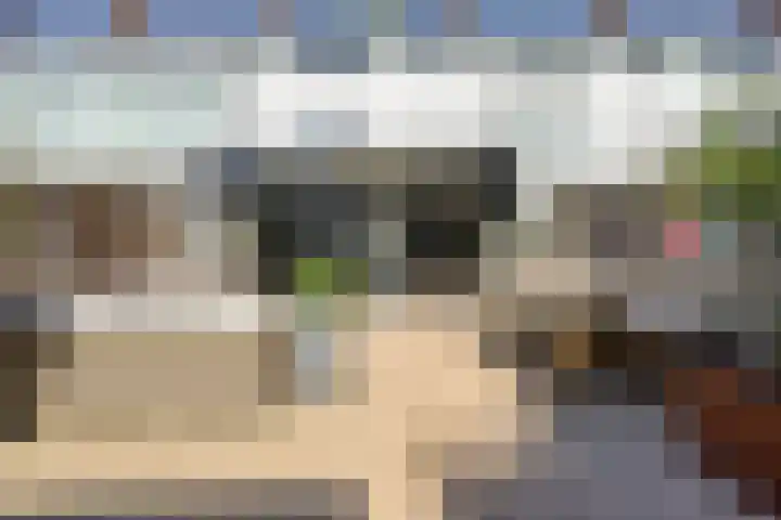 Piuslaan 117 Eindhoven thumbnail 46