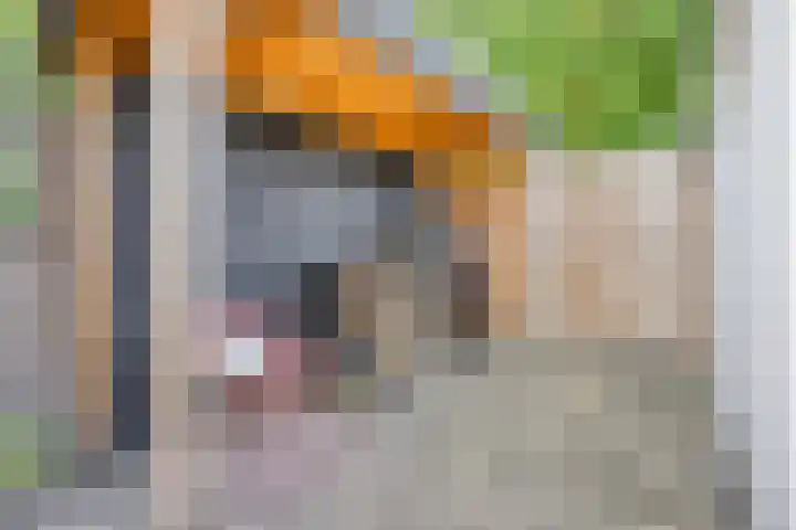 Piuslaan 117 Eindhoven thumbnail 48