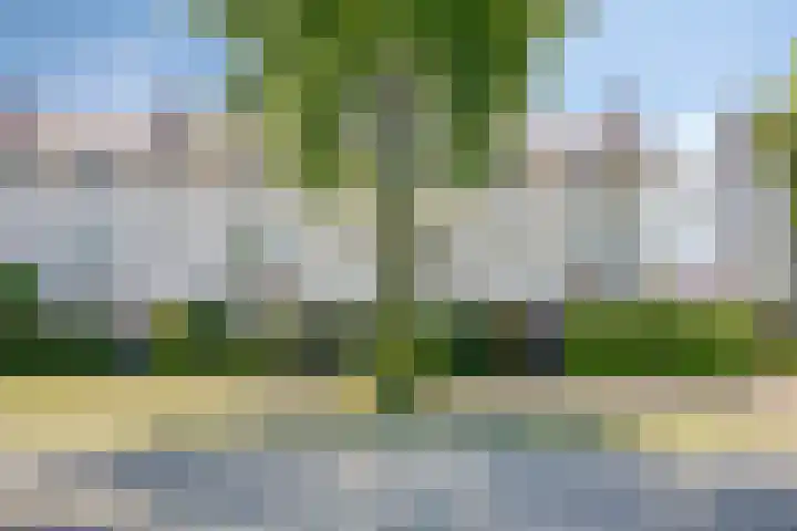 Piuslaan 117 Eindhoven thumbnail 57