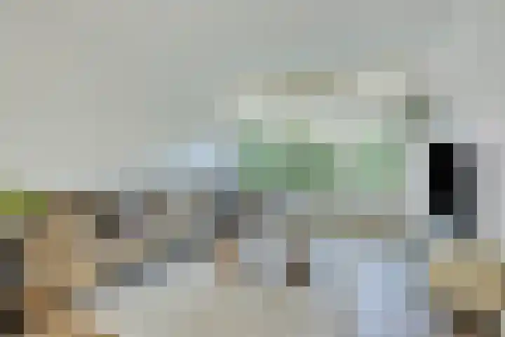 Piuslaan 117 Eindhoven thumbnail 6