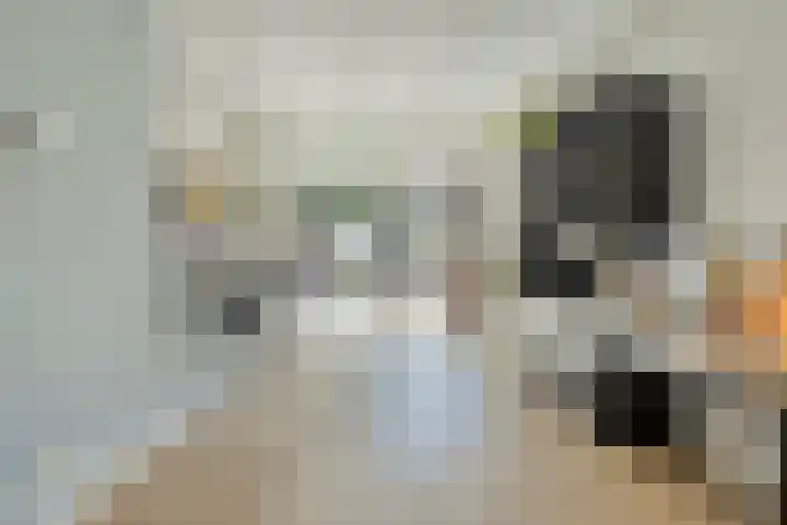 Piuslaan 117 Eindhoven thumbnail 8