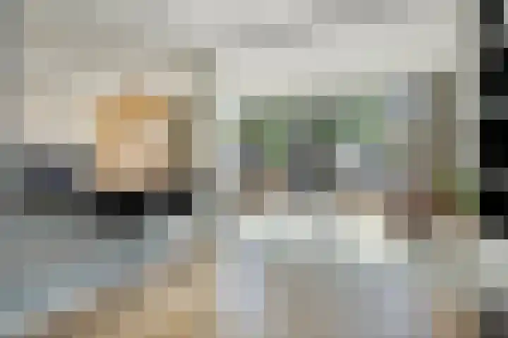 Piuslaan 117 Eindhoven thumbnail 9