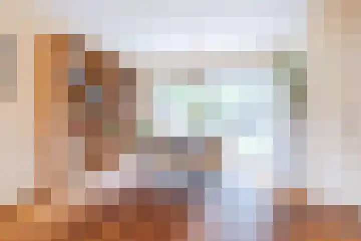 Piuslaan 46 Eindhoven thumbnail 14