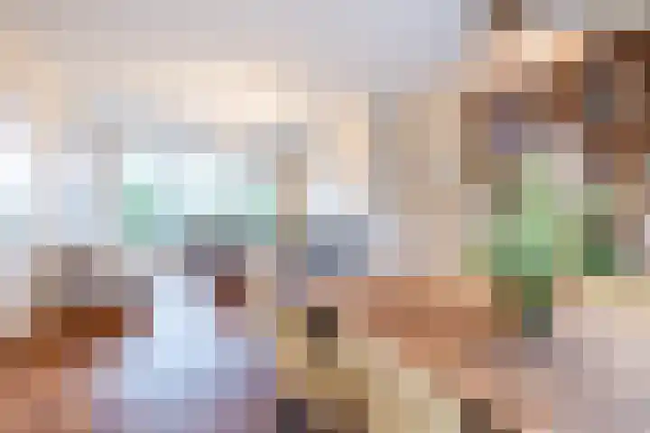 Piuslaan 46 Eindhoven thumbnail 15