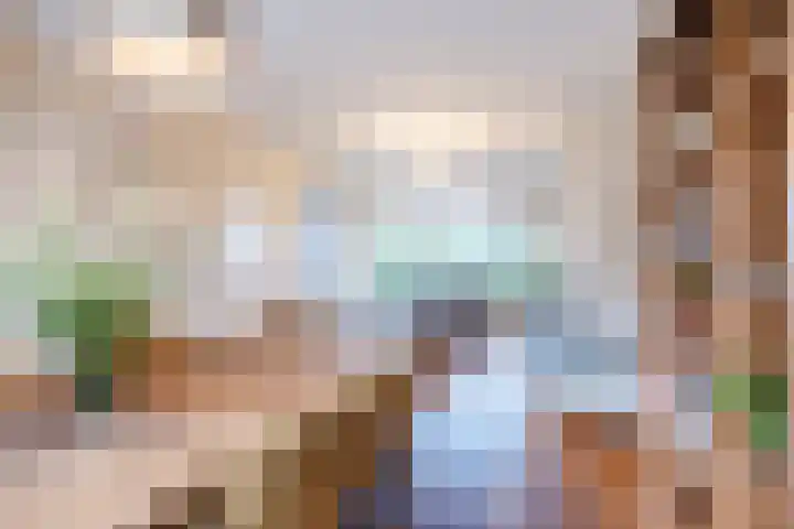 Piuslaan 46 Eindhoven thumbnail 16