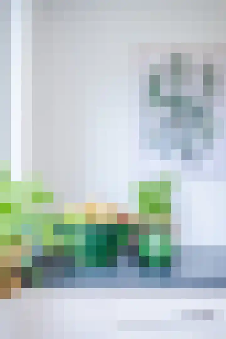 Piuslaan 46 Eindhoven thumbnail 21