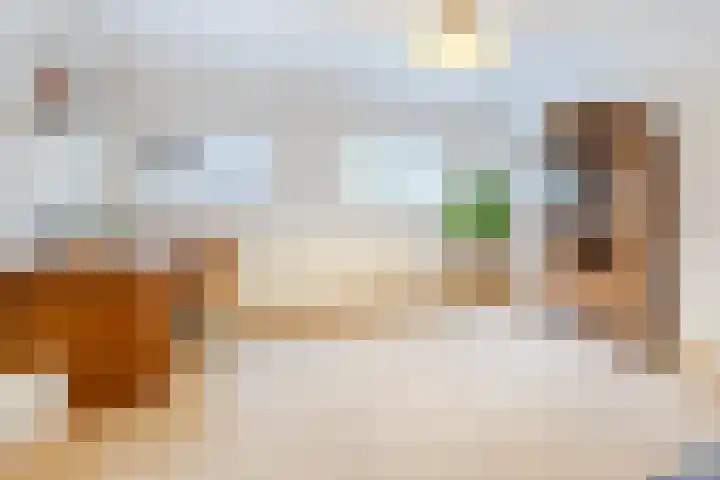 Piuslaan 46 Eindhoven thumbnail 34