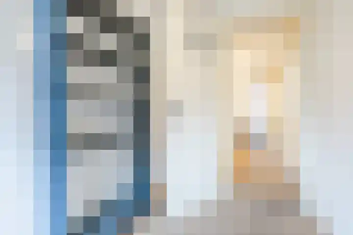 Piuslaan 46 Eindhoven thumbnail 36