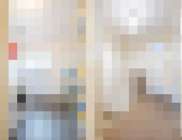 Piuslaan 46 Eindhoven thumbnail 39
