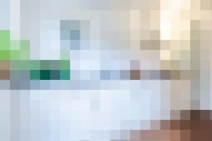 Piuslaan 46 Eindhoven thumbnail 4