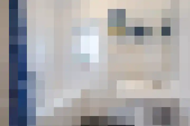 Piuslaan 46 Eindhoven thumbnail 5