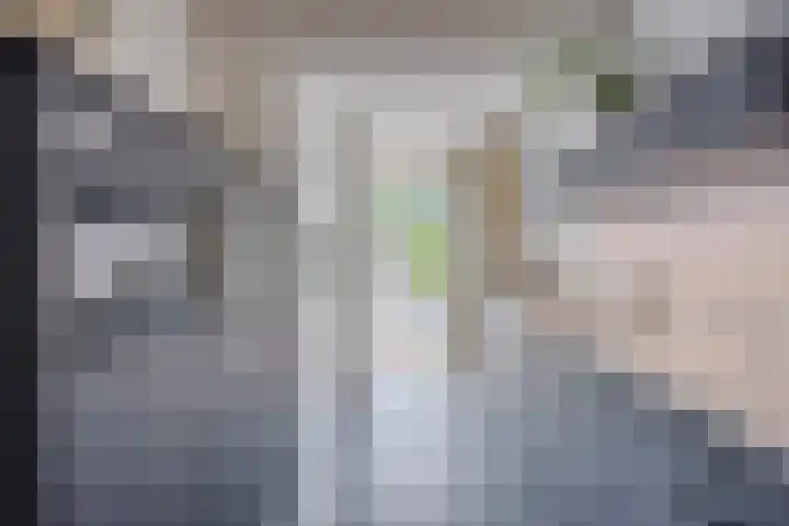 Piuslaan 56 Eindhoven thumbnail 12