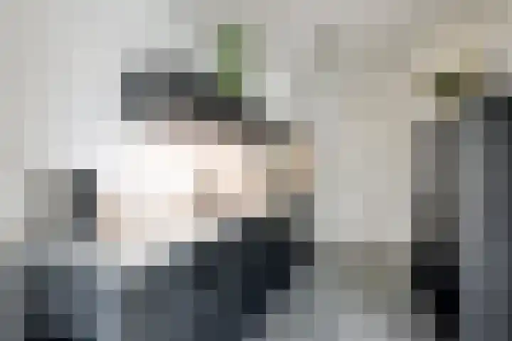 Piuslaan 56 Eindhoven thumbnail 14