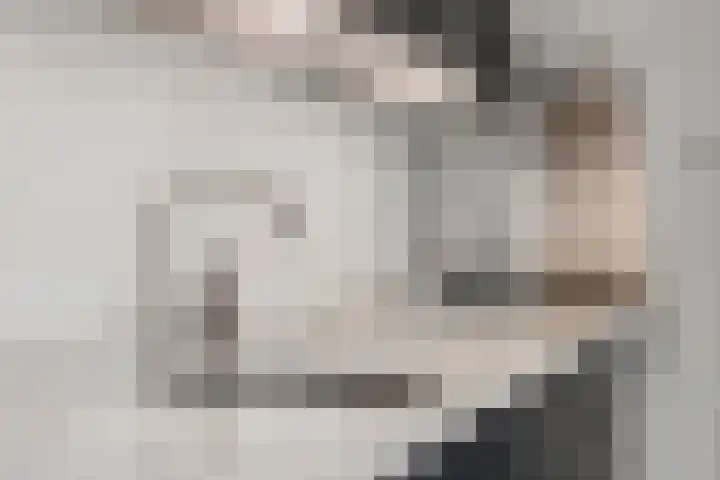 Piuslaan 56 Eindhoven thumbnail 15