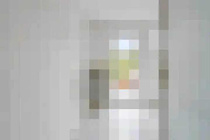 Piuslaan 56 Eindhoven thumbnail 22
