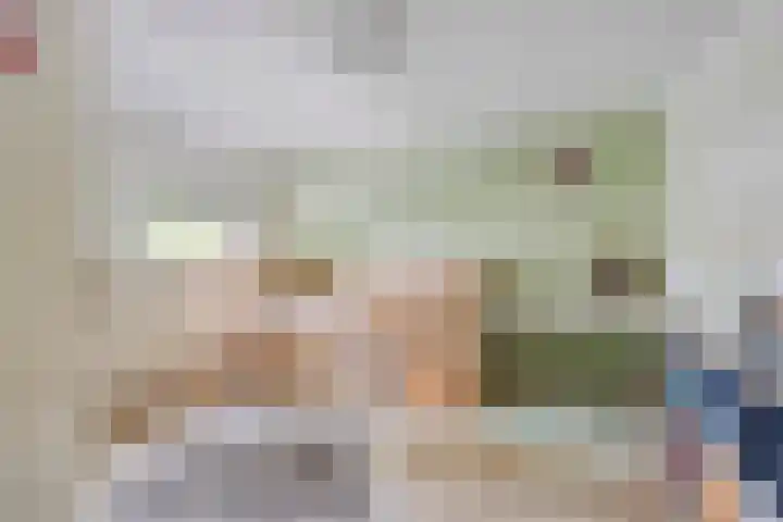 Piuslaan 56 Eindhoven thumbnail 28