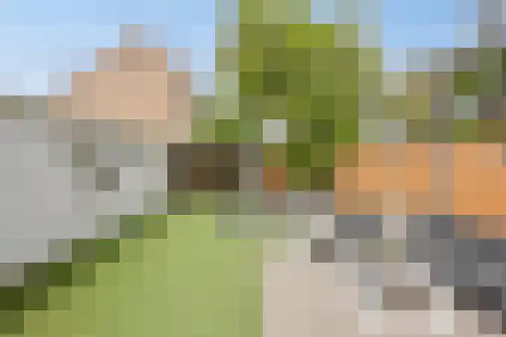 Piuslaan 56 Eindhoven thumbnail 33