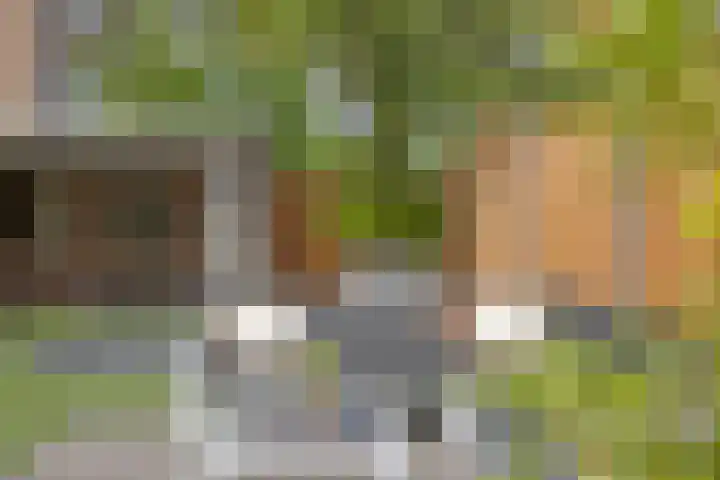 Piuslaan 56 Eindhoven thumbnail 34