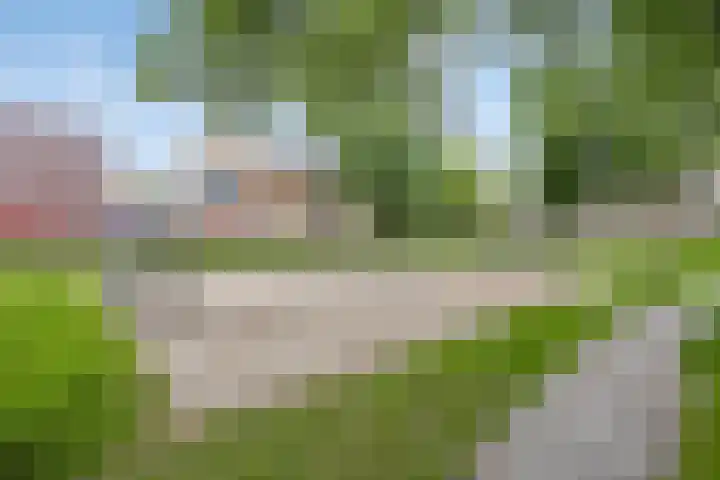Piuslaan 56 Eindhoven thumbnail 42