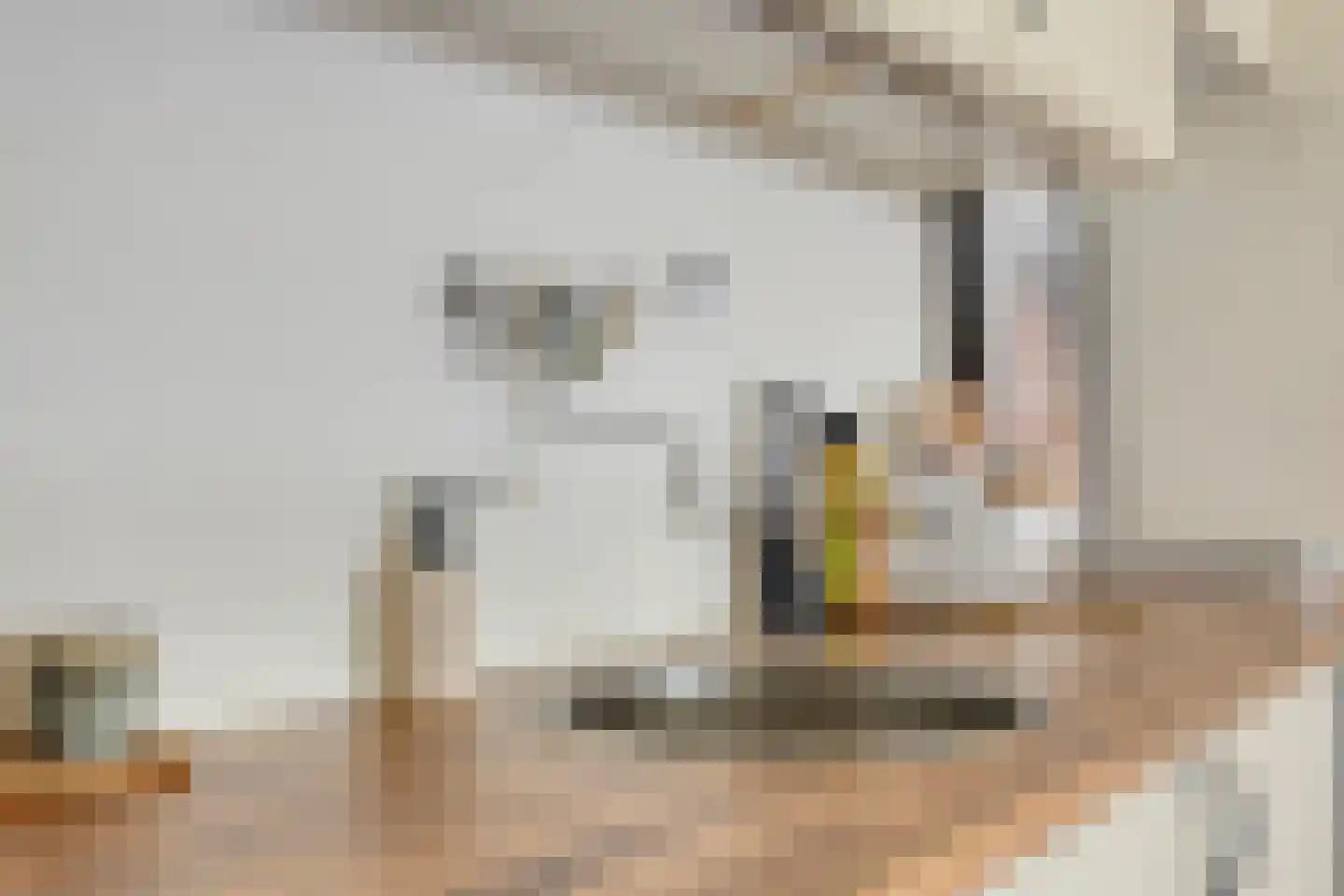 Piusplein 62 12 Tilburg thumbnail 16