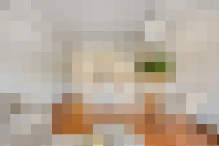 Piusplein 62 23 Tilburg thumbnail 15