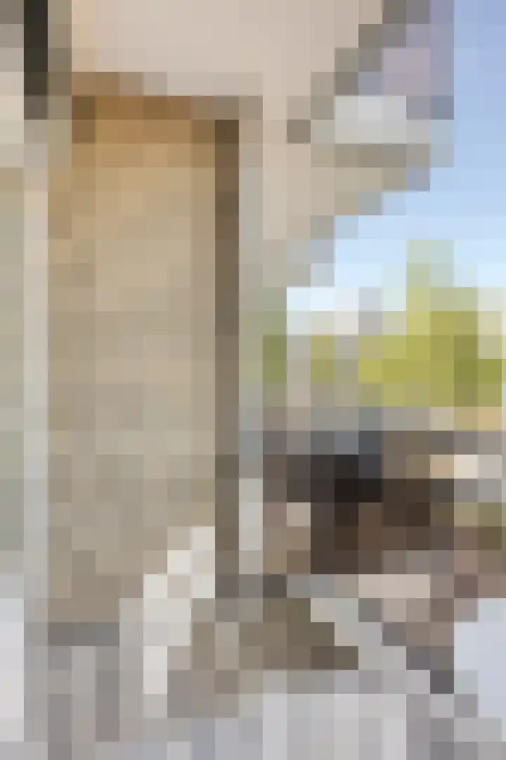 Piusplein 62 23 Tilburg thumbnail 27