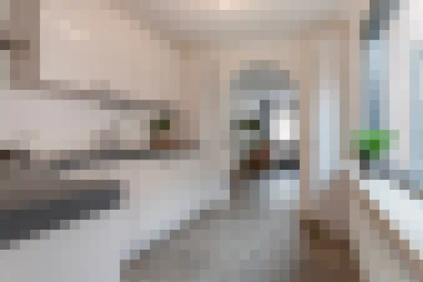 Piusstraat 128 Tilburg thumbnail 15