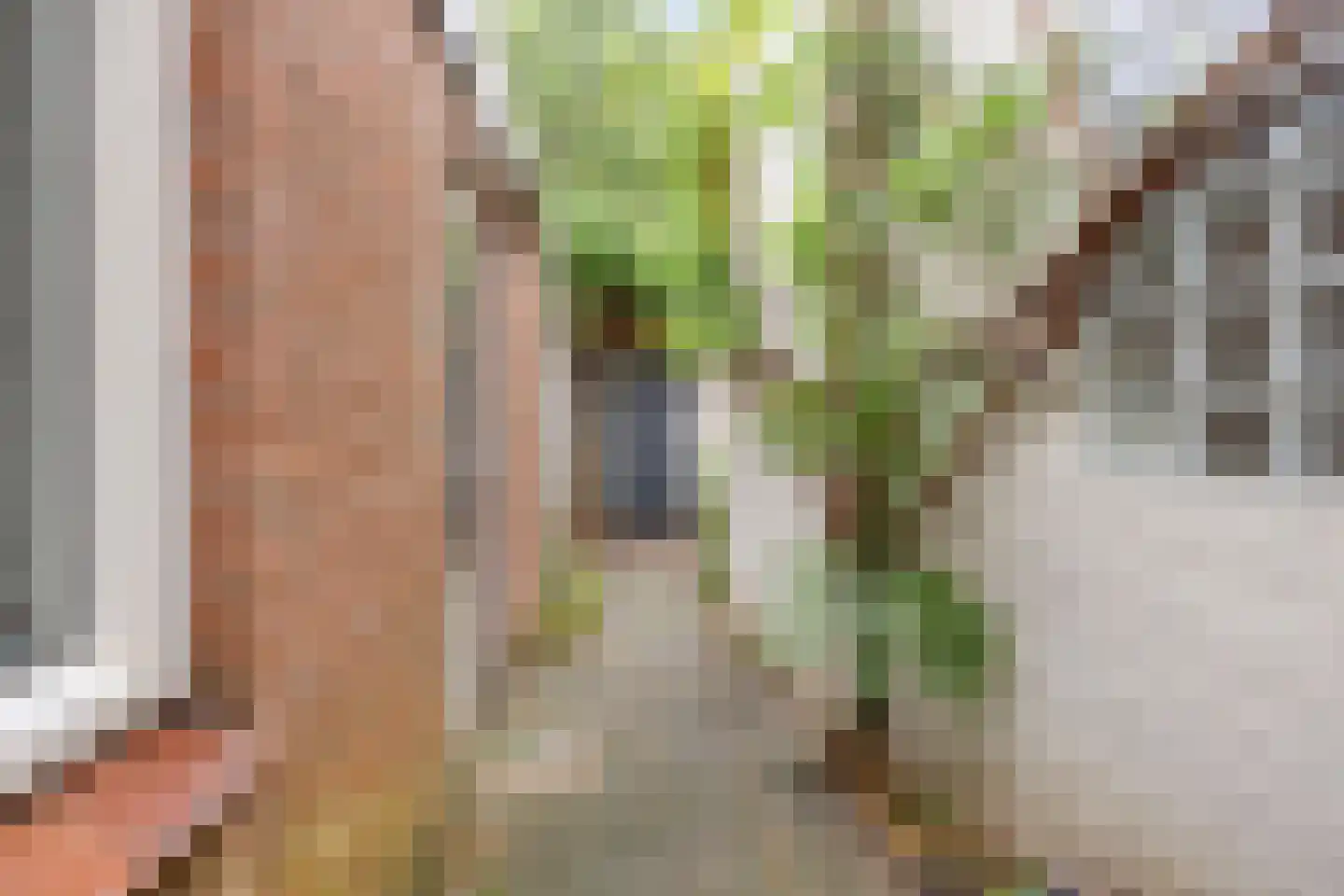 Piusstraat 160 Tilburg thumbnail 19
