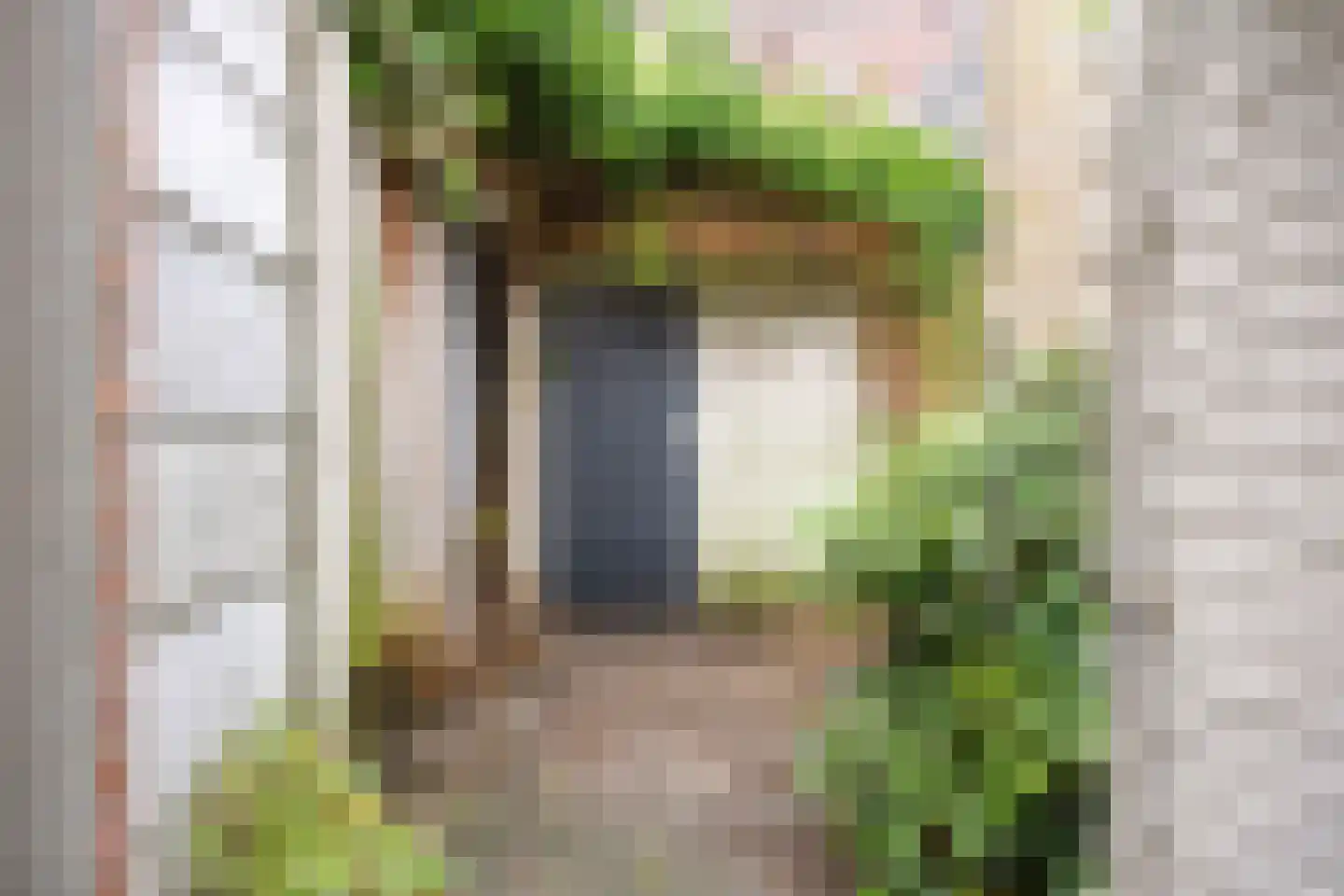 Piusstraat 160 Tilburg thumbnail 20